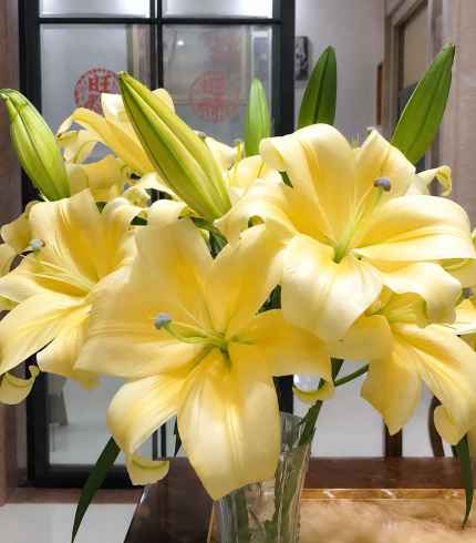 Lily yellow
