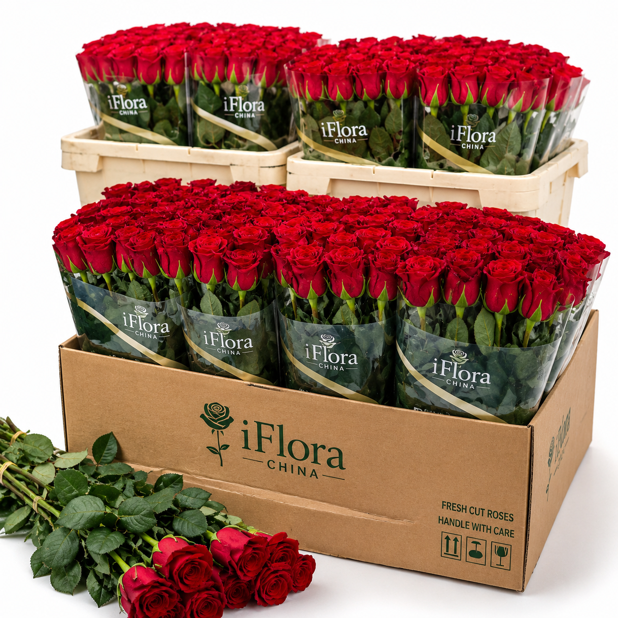 iFlora China